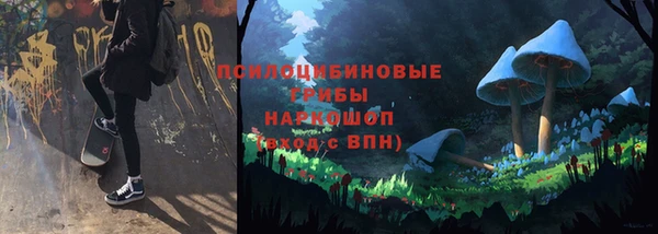 шишки Пестово