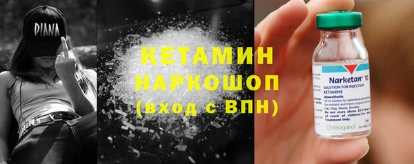 шишки Пестово