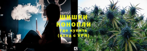 шишки Пестово