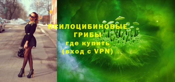 шишки Пестово