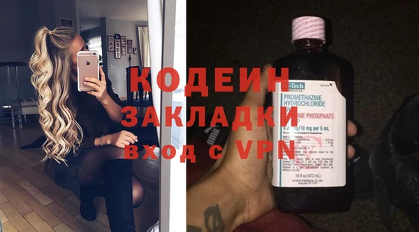 шишки Пестово