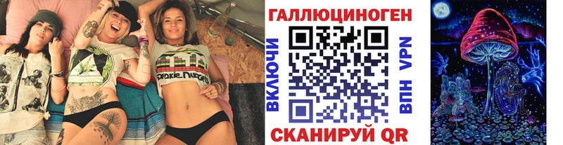 Купить где Фролово Псилоцибиновые грибы Psilocybine cubensis